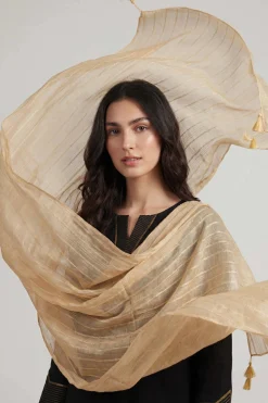 Camel Women Scarf-447902129