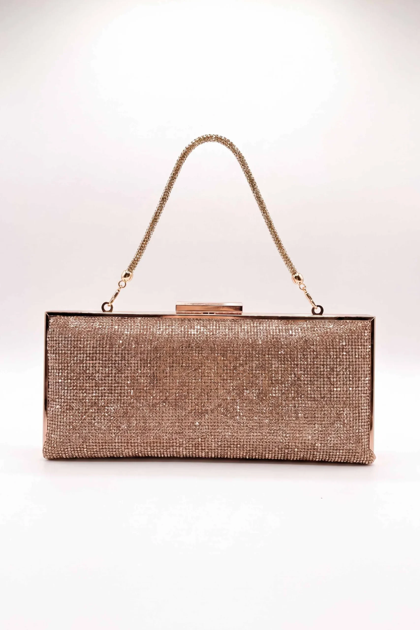 Champagne Clutch-448632116