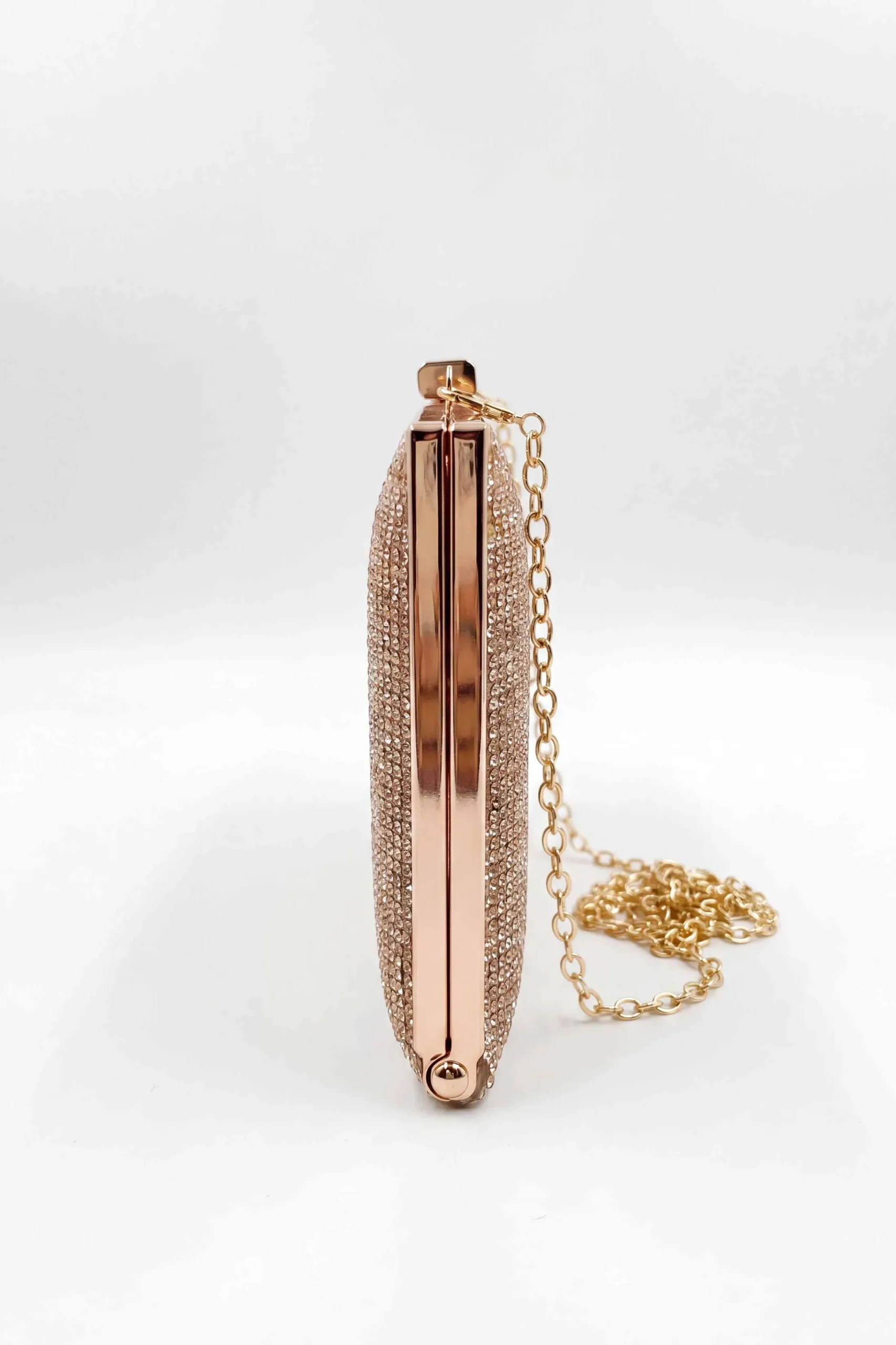 Champagne Clutch-448632116
