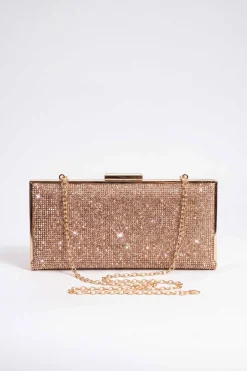 Champagne Clutch-448632116