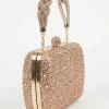Gold Clutch-448622119