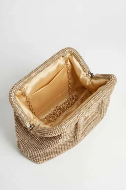 Gold Clutch-448742119