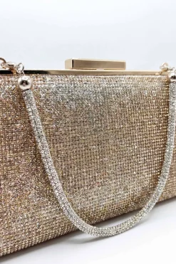 Gold & Silver Clutch-448632119