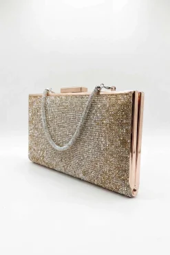 Gold & Silver Clutch-448632119