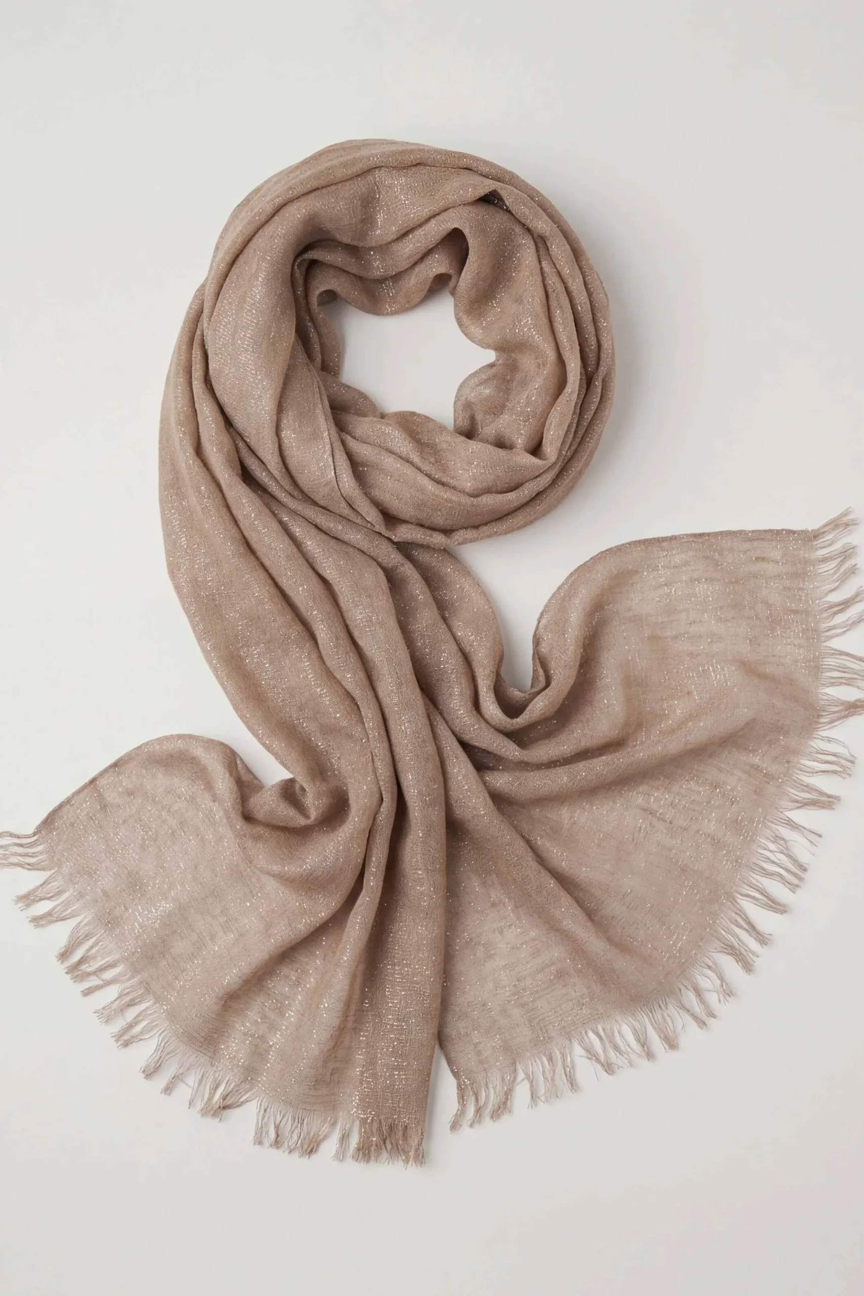 Khaki Women Scarf-443432130