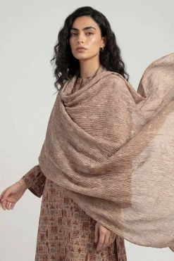 Khaki Women Scarf-447922130