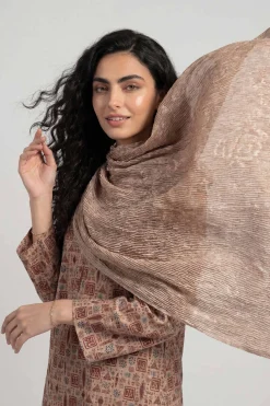 Khaki Women Scarf-447922130