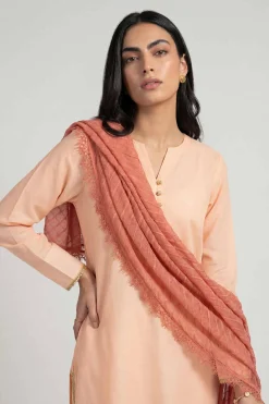 Orange Women Scarf-447882106