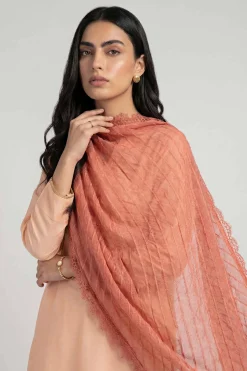 Orange Women Scarf-447882106