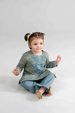 2 Piece - Printed Embroidered Suit - PMD26-05 D