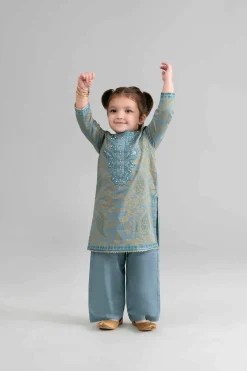 2 Piece - Printed Embroidered Suit - PMD26-05 D