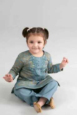2 Piece - Printed Embroidered Suit - PMD26-05 D