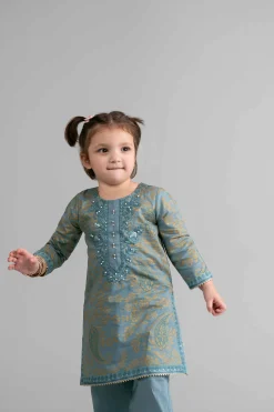 2 Piece - Printed Embroidered Suit - PMD26-05 D