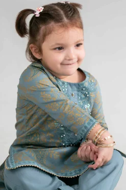 2 Piece - Printed Embroidered Suit - PMD26-05 D
