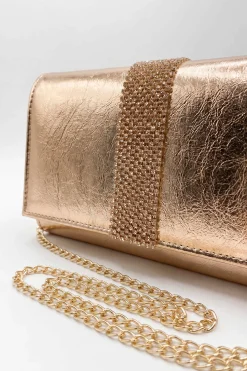 Rose Evening Bag-448772115