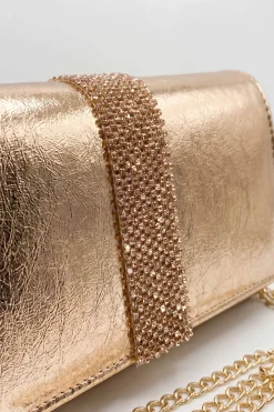 Rose Evening Bag-448772115