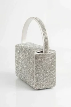Silver Clutch-448552120