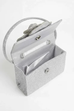 Silver Clutch-448512120