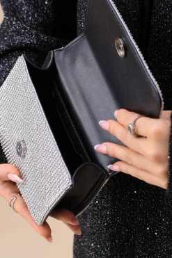 Silver Clutch-445742120