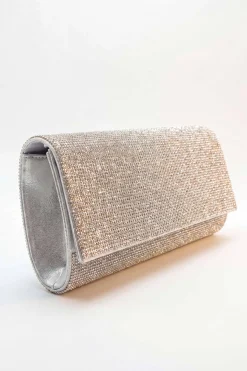 Silver Clutch-448642120