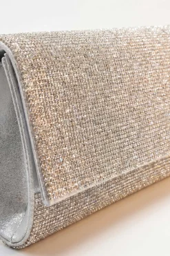 Silver Clutch-448642120