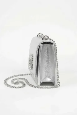 Silver Clutch-448682120