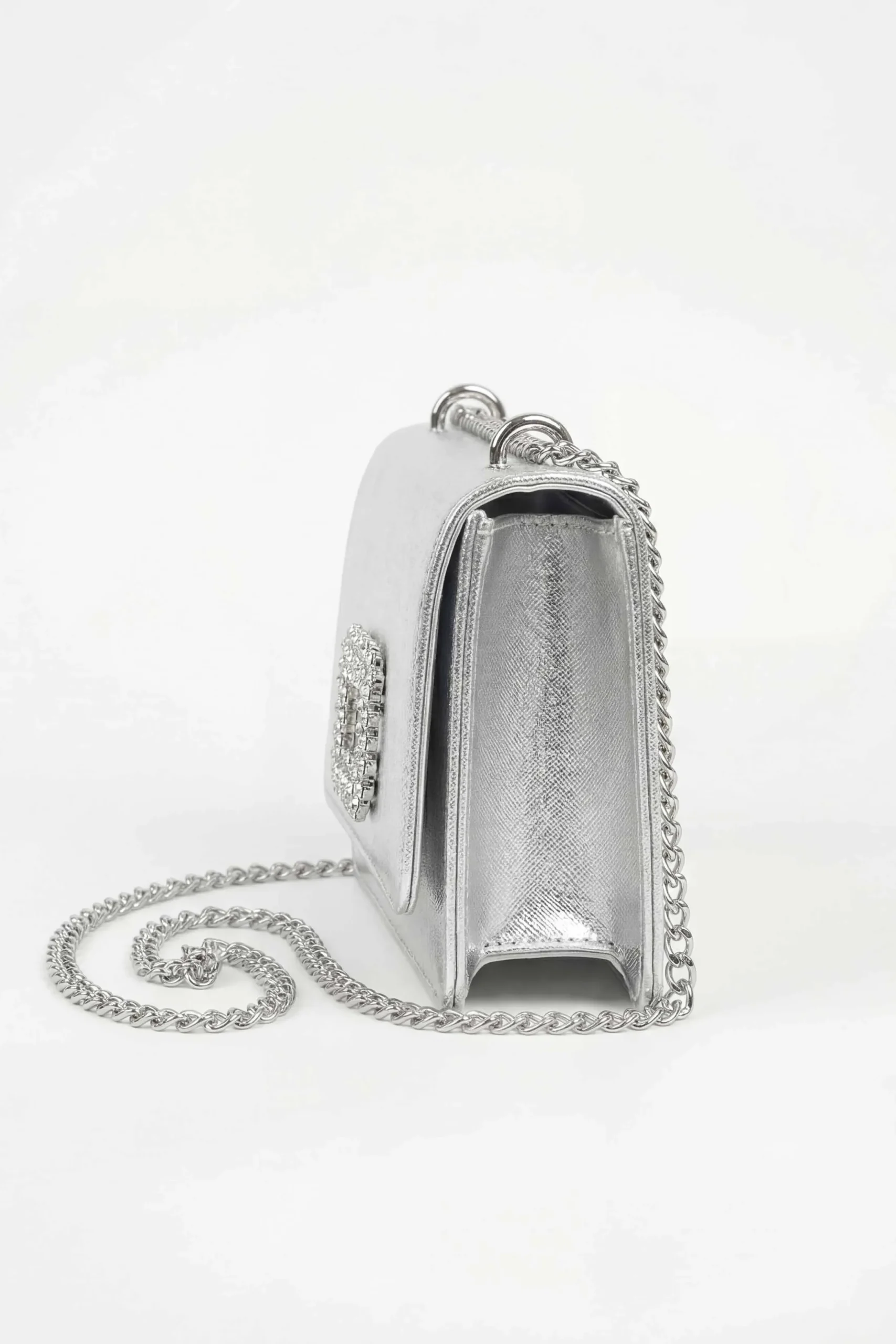 Silver Clutch-448682120