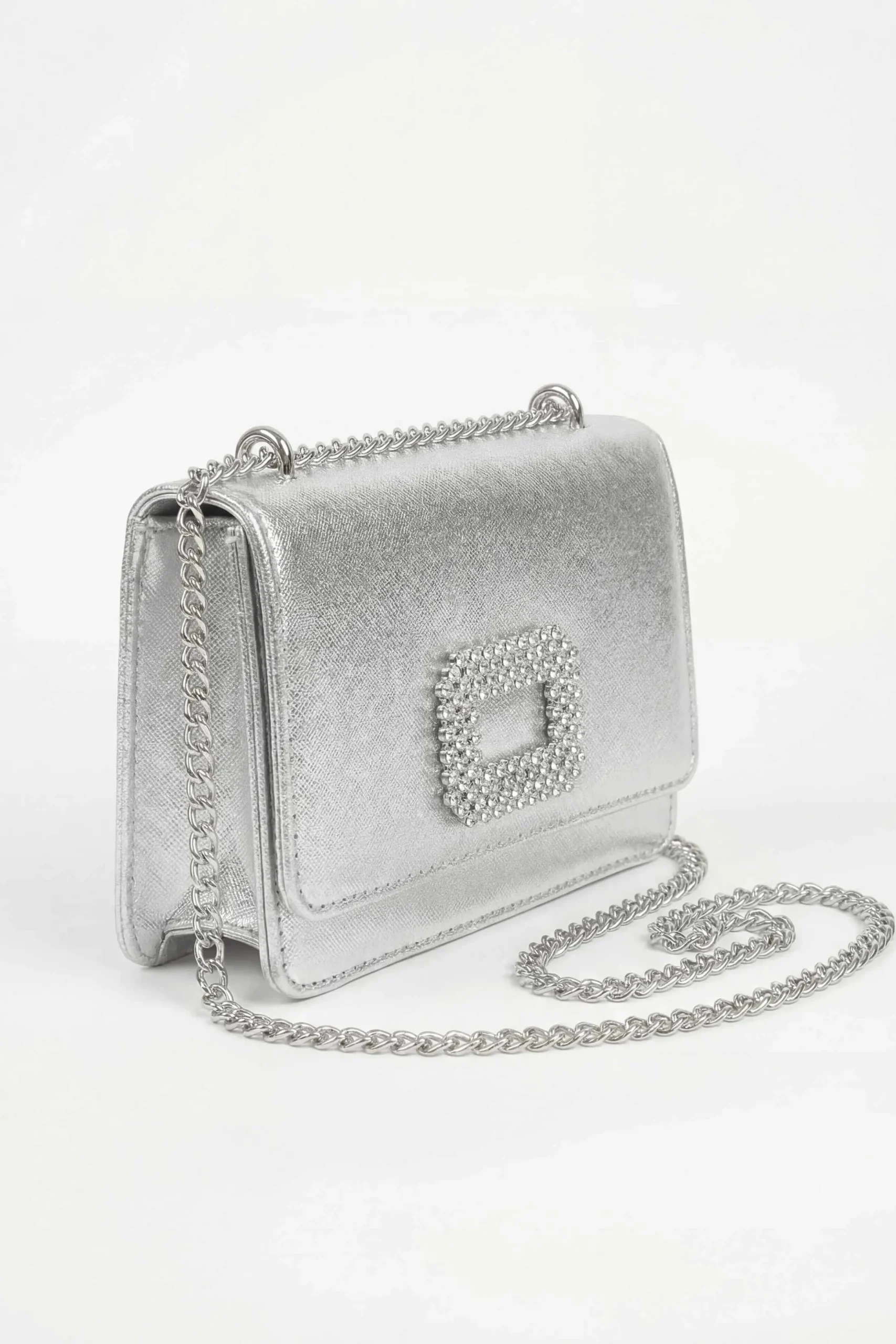 Silver Clutch-448682120