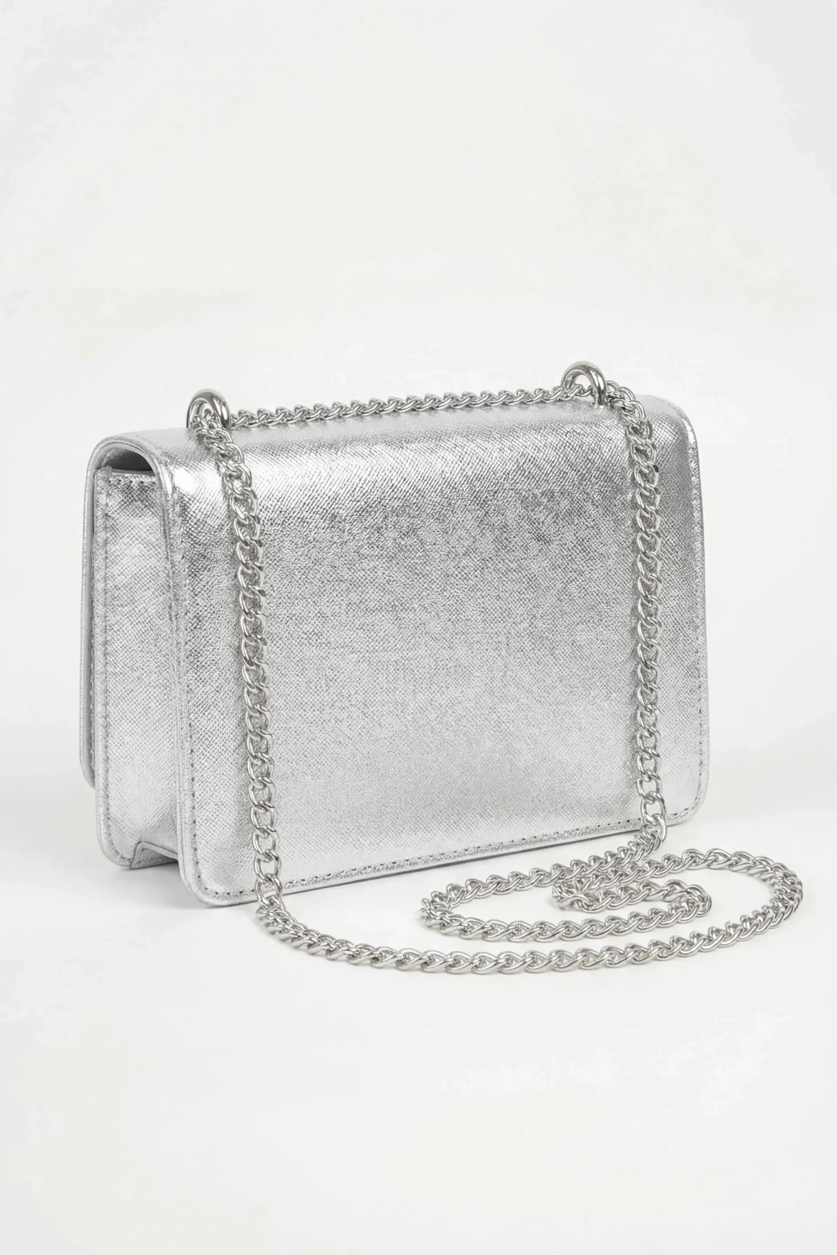 Silver Clutch-448682120