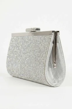 Silver Clutch-448612120