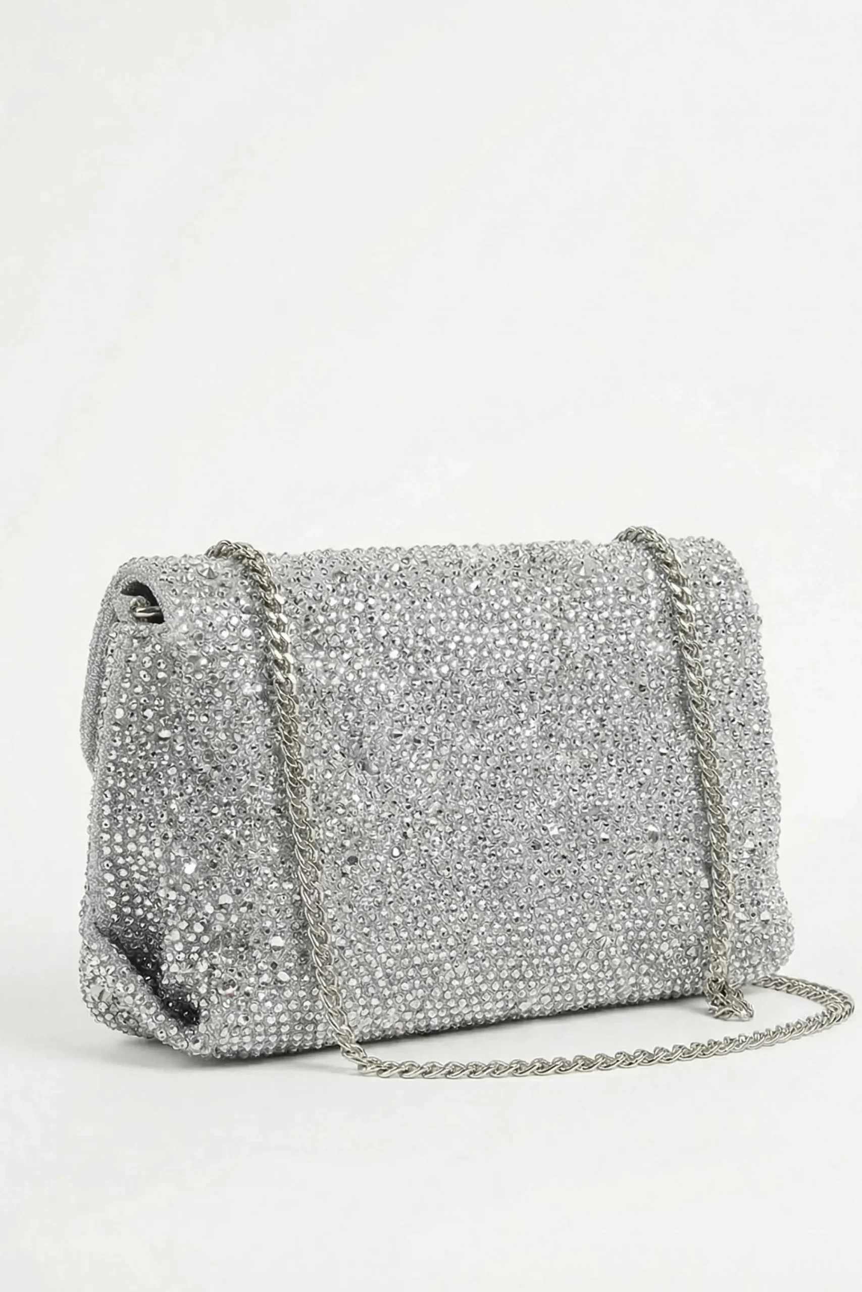Silver Clutch-448572120