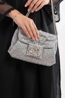 Silver Clutch-448572120
